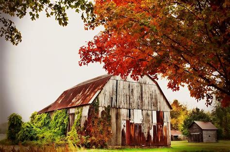 Autumn Barn Photograph By Laura Scharich Fine Art America