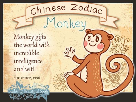 Year Of The Monkey In Chinese Zodiac For Kids 1280x960 Daily Astrology