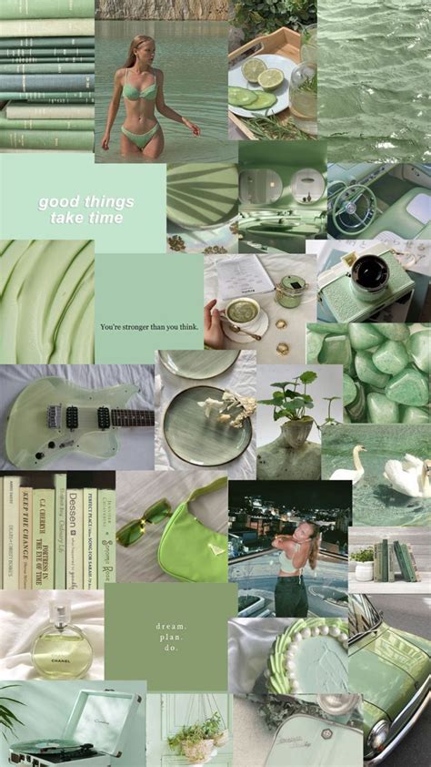 A Collage Of Green And White Items