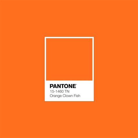 Pantone Orange Pantone Orange Pantone Orange Fish