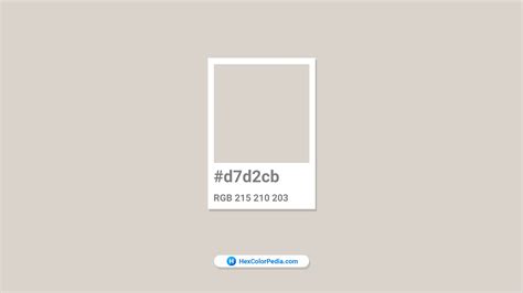 Pantone Warm Gray 1 C Hex Color Conversion Color Schemes Color
