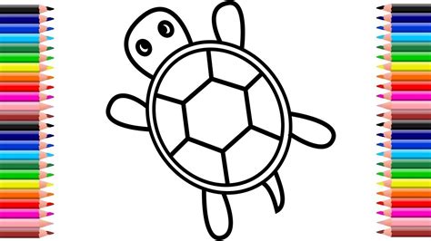 Como dibujar una tortuga paso a paso Como dibujar fácil YouTube