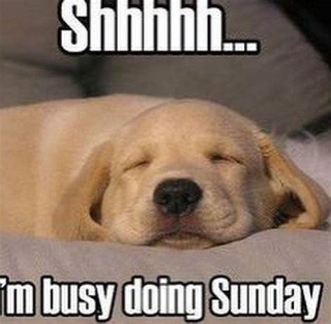 27 Funny Sunday Memes That Are Perfect For Lazy Sundays Funny Sunday