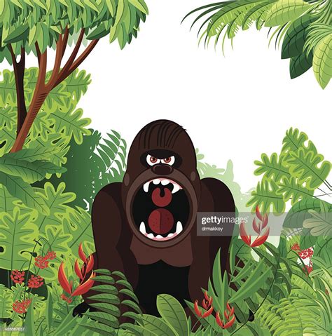 Gorilla And Tropical Rainforest High Res Vector Graphic Getty Images