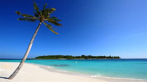 46 Beautiful Beach Scenery Wallpaper On Wallpapersafari