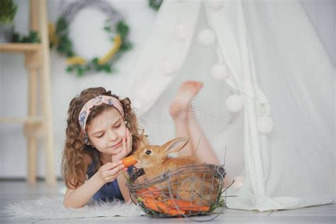 Little Cute Girl Feeds Carrots Fluffy Pet Rabbit Care And Livin Stock