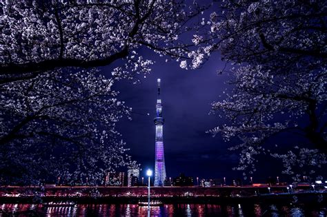 The most Instagrammable places in Tokyo | Time Out Tokyo