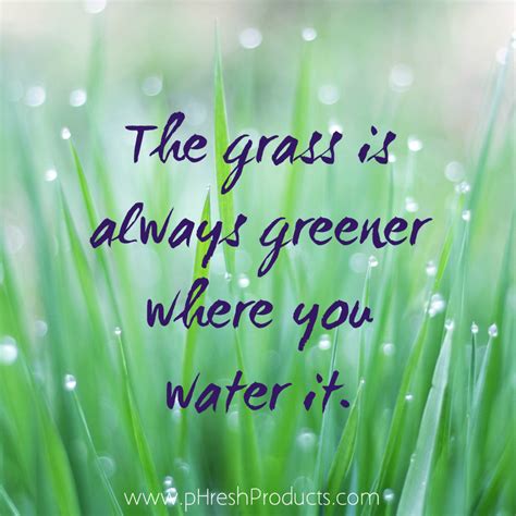 The Grass Is Greener Where You Water It Quote The Grass Is Greener