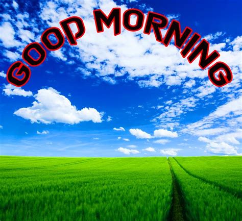 352 Good Morning Profile Images Wallpaper For Whatsapp Dp Good