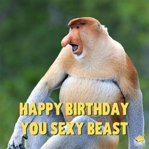 Funny Happy Birthday Images A Smile For Their Special Day Funny