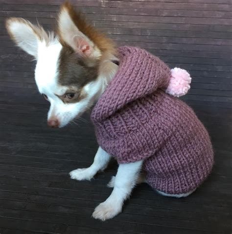 2 Pdf Knitting Patterns Chihuahua Sweater Fast And Easy Etsy Dog