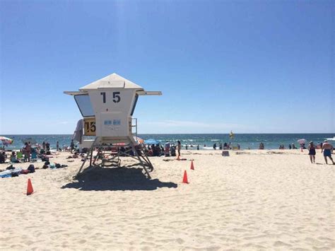 The 15 Best Beaches In San Diego