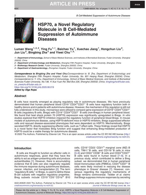 Pdf Hsp70 A Novel Regulatory Molecule In B Cell Mediated Suppression