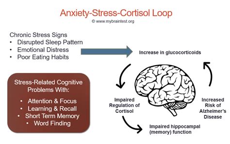Chronic Anxiety Stress And Memory Loss Memoryhealthcheck