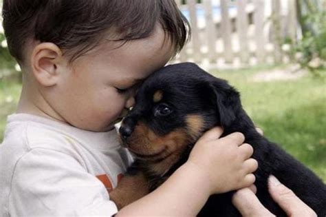 20 Pictures Showing How Awesome Puppies And Babies Are Together