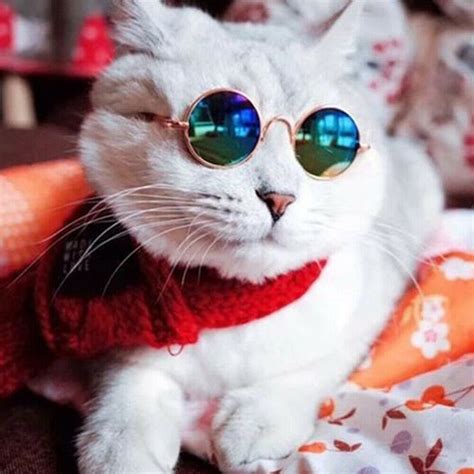 Cute Cool Cat Glasses Uv Sunglasses Eye Protection Small