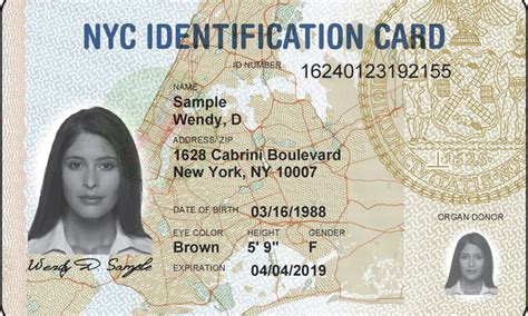 Check spelling or type a new query. New York won't keep ID card applicants' records in future | Daily Mail Online