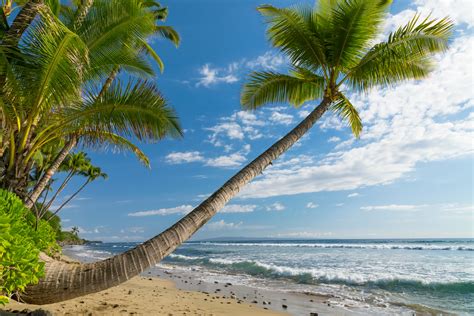 Tropics Coast Sky Waves Scenery Ocean Hawaii Palma Trees Nature Wallpapers Hd Desktop
