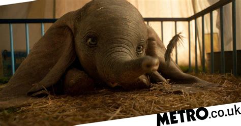Dumbo 2019 Trailer Cast And Uk Release Date All You Need To Know