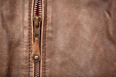 Zipper And Leather Stock Photo Image Of Luxury Fasten 23017744