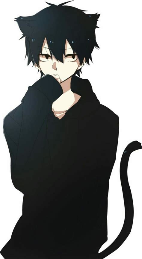 Pin De Shadow Wolf En Animes Black Cat Anime Anime Wolf Neko Boy