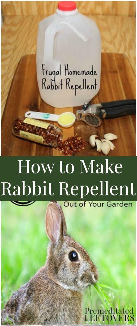 Rabbit Deterrent Rabbit Repellent Deer Repellant Squirrel Repellant