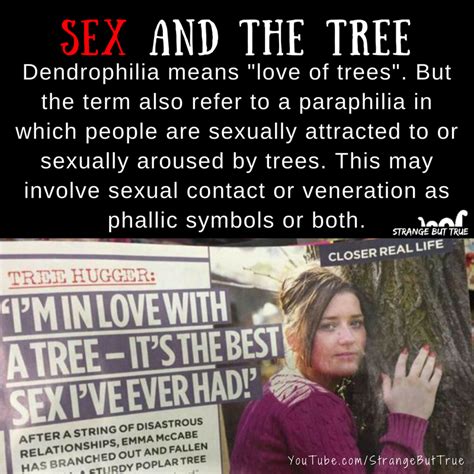 Dendrophilia Aka The Love Of Trees Strange But Truethe Sbt