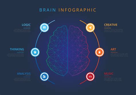 Brain Infographic Vector Art Icons And Graphics For Free Download