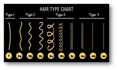 25 Top Pictures Black Natural Hair Types Chart What S Your Curl Type