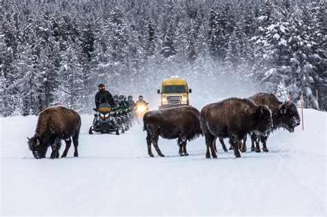 How To Prepare For A Yellowstone Winter Adventure West Yellowstone Montana Yellowstone Winter