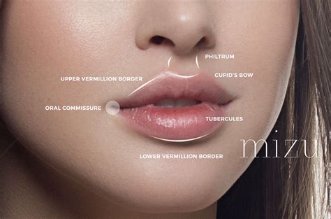 Lip Fillers Mizu Aesthetic Clinic Singapore