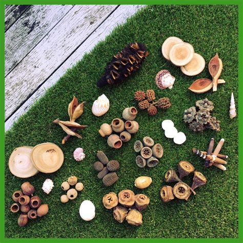 Resources In Early Childhood Education