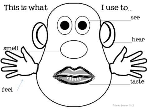 We discover all the world by our senses. 10 Best Images of Face Parts Worksheet For Kindergarten ...