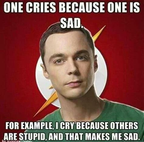 Sheldon Quotes Quotesgram