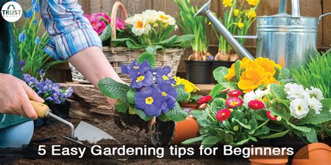 5 Easy Gardening Tips For Beginners Trustbasket