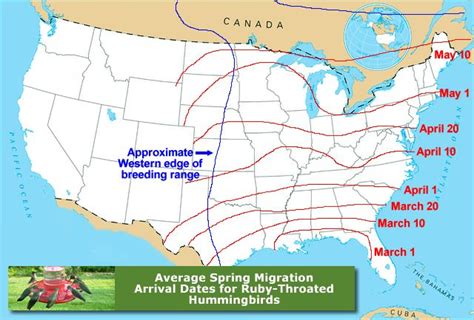 Map Showing The Average Spring Migration Arrival Dates For