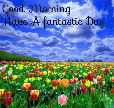 Spring Good Morning Wishes Wallpaper Download Good Morning Images