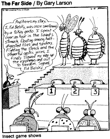 Game Show Insect Cartoons Far Side Cartoons The Far Side Y Gary