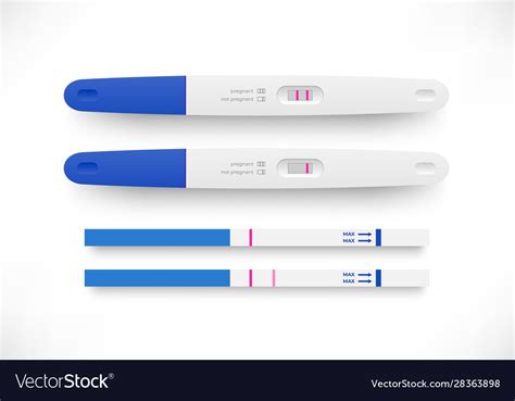 Pregnancy Or Ovulation Positive Negative Test Set Vector Image