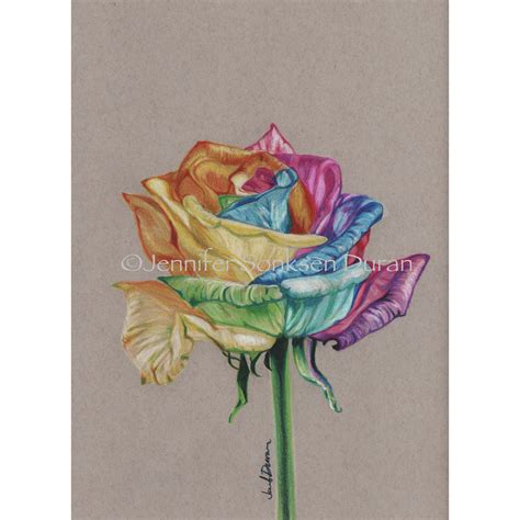 Rainbow Rose Prismacolor Colored Pencil Drawing On Gray Toned Paper 9