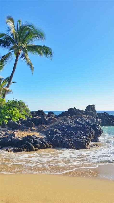 Path to hidden Makena Cove beach: aka Secret Cove in Maui 🌴 Hawaii 
