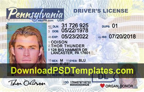 Pennsylvania Driver License Template Psd New Pa Dl With Regard To