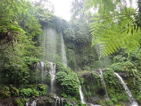 Lombok memiliki lusinan air terjun yang sayang dilwatkan jika anda liburan di lombok. Air Terjun Benang Kelambu, Cantiknya Tirai Air dari Lombok