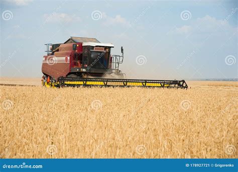 Combine Harvesters In A Field Of Wheat Stock Image Image Of