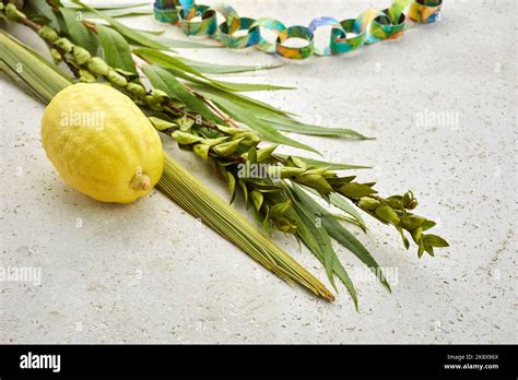 Jewish Festival Of Sukkot Traditional Symbols Etrog And Lulav Citrus