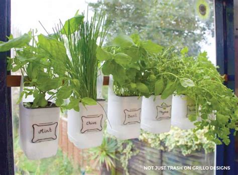 How To Grow An Herb Garden Outside Tin Cans Into Kitchen Countertop