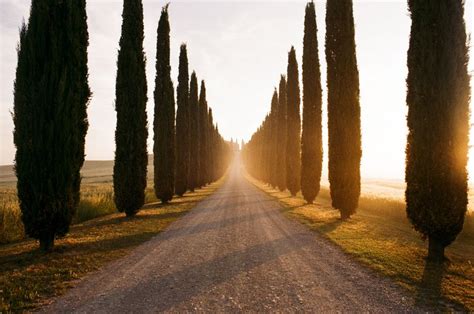 More questions presented in our biggest icebreaker questions list and never have i ever questions and game rules. What Is a Vanishing Point in Art?