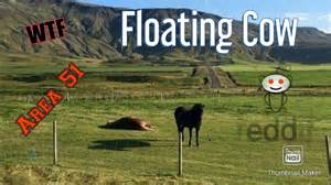 Optical Illusions Floating Cow Area 51 Youtube