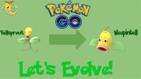 Evolution Of Bellsprout To 900 Cp Weepinbell With Power Up Youtube