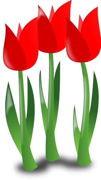 May Clip Art Flowers Clipart Best